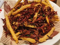 -杨氏青龙虾·羊蝎子(珠江路店)