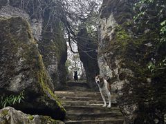 -山王坪喀斯特国家生态公园