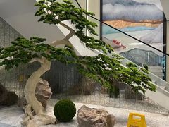 -碧丽宫大酒店(召稼楼店)