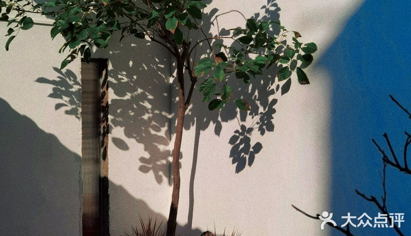 坐拥「东莞」字标打卡台✍