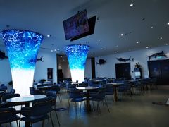 -深海中餐厅(国家海洋博物馆店)