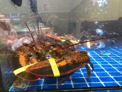 -金海湾海鲜排档(朱家尖店)