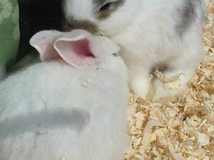 -正佳雨林生态植物园