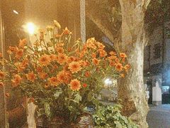-Apollo·西班牙小酒馆(安福路店)