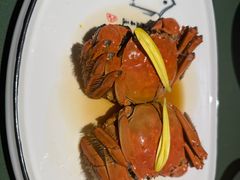 -老吉堂上海本帮菜(望京万象汇店)