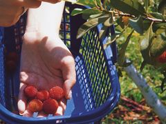 -竹上云想餐厅民宿