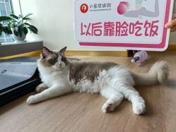 -小黑裙瑜伽·普拉提