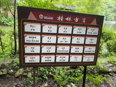 -桂林古东瀑布景区