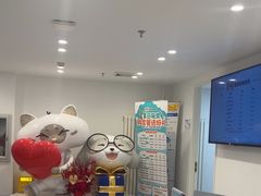 -喜多萌中农锦绣动物医院24H·猫科·牙科MRI·CT