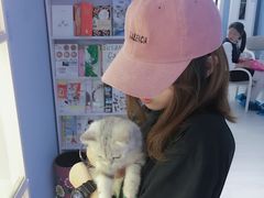 -喵的天空名猫咖啡馆·撸猫·猫舍·用品