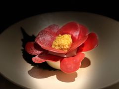 -Tomacado花厨(One ITC店)