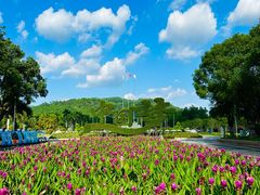 -东南花都花博园