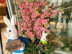 -苗小坛酸汤鱼(酒仙桥店)