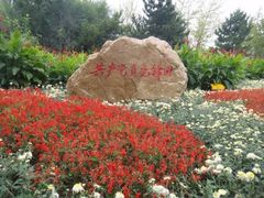 -长白岛森林公园