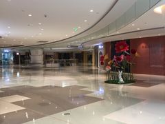 -棕榈MALL