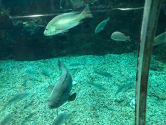 -秦皇岛新澳海底世界