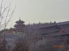 -原山国家森林公园