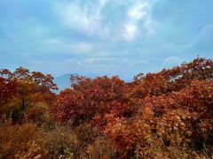 -白草畔自然风景区