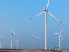 -盐城丹顶鹤湿地生态旅游区