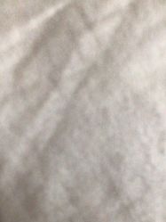 -1001普拉提运动