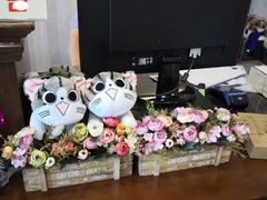-宠爱国际动物医院·消化内科·心肾内科·ISFM猫友好(望京店)