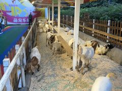-广州长隆国际大马戏