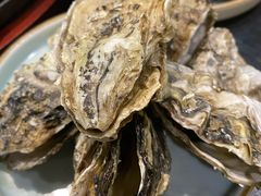 -金掌勺东北菜(格兰晴天店)