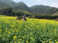-新建村梅花
