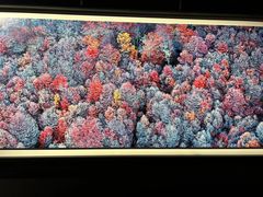 -罗红摄影艺术馆