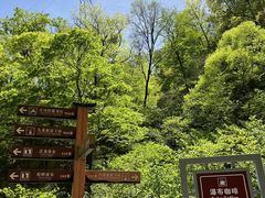 -洛阳白云山景区