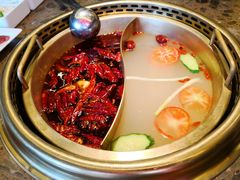 番茄鸳鸯锅-小龙坎老火锅(北京三里屯店)