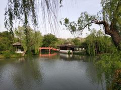 -盆景园(扬州大运河文化旅游度假区)
