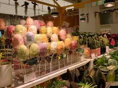 -KKV(深圳宏发大仟里店)