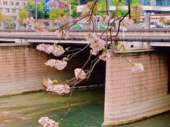 -红星桥(地铁站)
