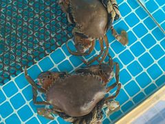 -必点蒸汽海鲜(止锚湾店)