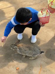 -前小桔亲子创意农场·草莓采摘·露营烧烤