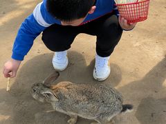 -前小桔亲子创意农场·草莓采摘·露营烧烤