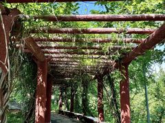 -石家庄市植物园