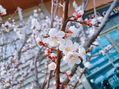 -长春市南湖公园