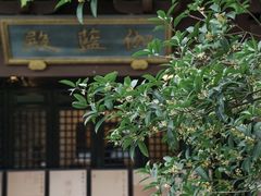 -慧因高丽寺