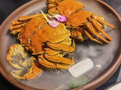-RIVIERA 松鹤楼(外滩店)