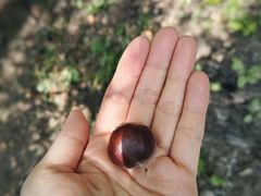 -龙云山风景区-鹿皮关长城