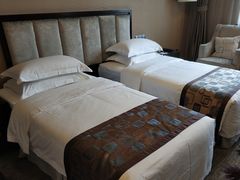 -长沙小天鹅戴斯酒店