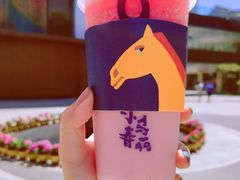 -春丽小马(济南恒隆广场店)