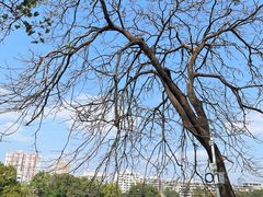 -东山湖公园