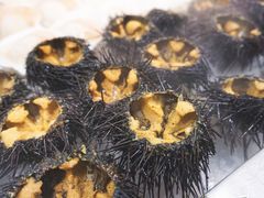 -船歌·鱼水饺青岛菜(闽江二路店)