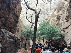 -吉林拉法山