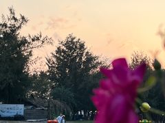 -玫瑰海岸文化旅游度假区
