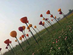-枫林花海