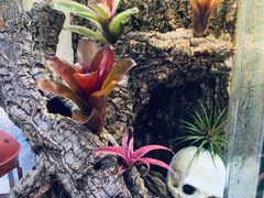 -Rabbit Cafe私房西餐甜点咖啡(栖霞路店)